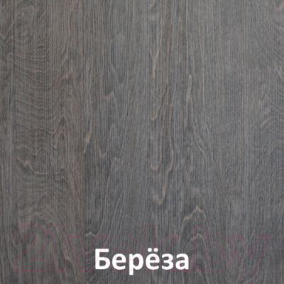 Шкаф-купе Кортекс-мебель Лагуна ШК04-00 (береза, левая консоль)
