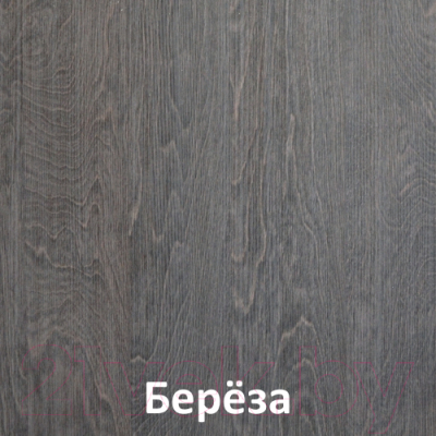 Шкаф-купе Кортекс-мебель Лагуна ШК04-02 (береза, правая консоль)