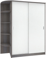 Шкаф-купе Кортекс-мебель Лагуна ШК05-00 (береза/белый, левая консоль) - 
