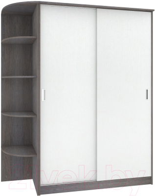 Шкаф-купе Кортекс-мебель Лагуна ШК05-00 (береза/белый, левая консоль)
