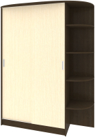 

Шкаф-купе Кортекс-мебель, Лагуна ШК09-00