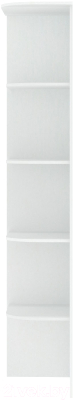 Угловое окончание для шкафа Кортекс-мебель Сенатор КМ32-45 (белый)