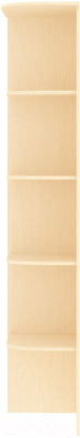 Угловое окончание для шкафа Кортекс-мебель Сенатор КМ32-45 (венге светлый)