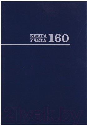 Книга учета Проф-Пресс 160-8673 (синий)