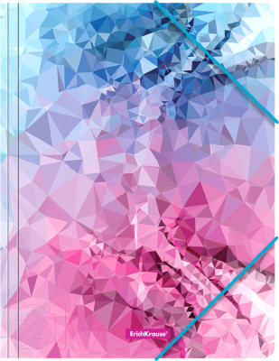 

Папка для бумаг Erich Krause, Pink Dynamique / 49294