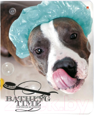 

Тетрадь Альт, Собаки. С легким паром / 7-48-819