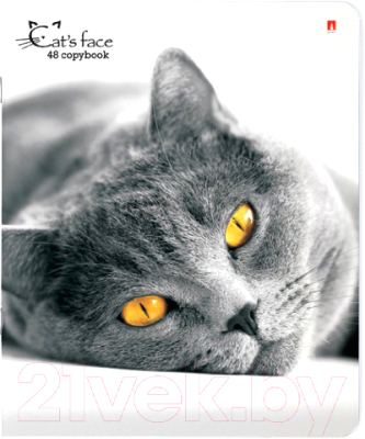 

Тетрадь Альт, Кошки. Яркий взгляд / 7-48-1019