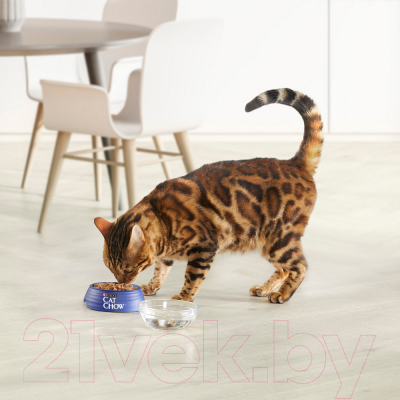 Влажный корм для кошек Cat Chow Ягненок и зеленая фасоль (85г)