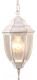 Светильник уличный Arte Lamp Pegasus A3151SO-1WG - 