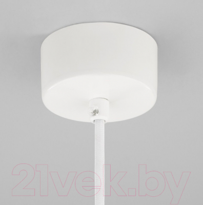 Потолочный светильник Elektrostandard 50187/1 LED (белый)