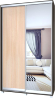 

Шкаф-купе Modern, Роланд Р43 + Р23