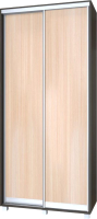 

Шкаф Modern, Роланд Р60 + Р10