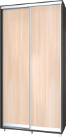 

Шкаф Modern, Роланд Р61 + Р11