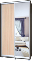 

Шкаф-купе Modern, Роланд Р63 + Р23