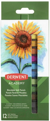 Набор сухой пастели Derwent Academy Soft Pastels / 2302397 (12шт)