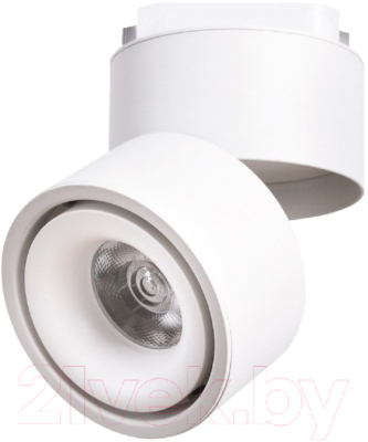 

Трековый светильник Arte Lamp, Arcturus Track A7716PL-1WH