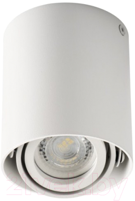 Точечный светильник Kanlux Toleo DTO50-W / 26111