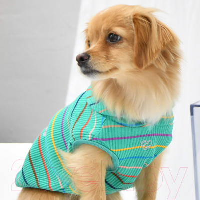 Изображение товара Футболка для животных Pinkaholic Yara с капюшоном / NAUA-TS7603-GR-M (зеленый)