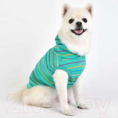 Изображение товара Футболка для животных Pinkaholic Yara с капюшоном / NAUA-TS7603-GR-M (зеленый)