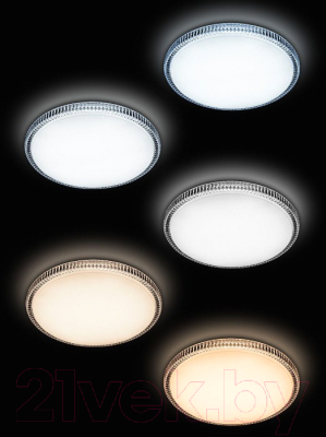 Потолочный светильник LuminArte Starlux CLL1460W