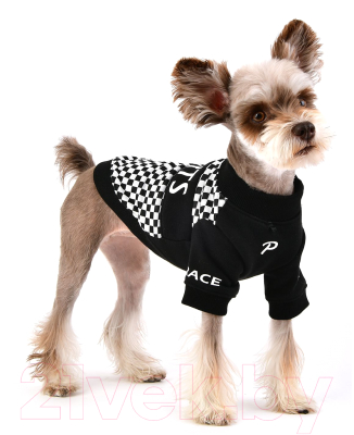 Футболка для животных Puppia Racer / PATD-TS1759-BK-S (S, черный)