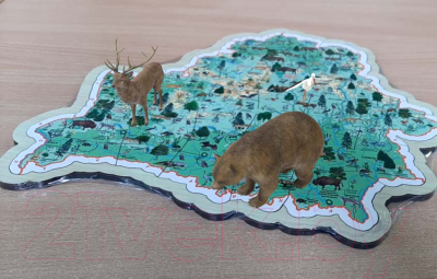 Развивающая игра Белкартография Животный и растительный мир Беларуси 3D (деревянный)