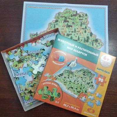 Развивающая игра Белкартография Животный и растительный мир Беларуси 3D (картонный)
