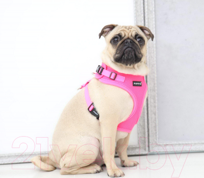 Шлея-жилетка для животных Puppia Neon Soft / PAQA-AC1430-PK-L (розовый)