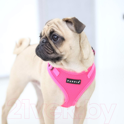 Шлея-жилетка для животных Puppia Neon Soft / PAQA-AC1430-PK-M (розовый)