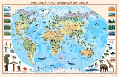 Настенная карта Белкартография Животный и растительный мир земли (ламинированная)