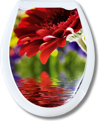 

Сиденье для унитаза, Красная гербера 104-406-00