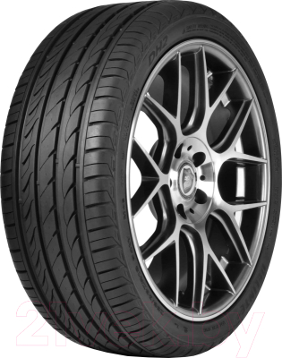 

Летняя шина Delinte, DH2 245/45R18 100W