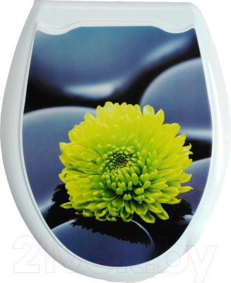 Сиденье для унитаза Europlast Цветок 104-406-00 (жесткое)