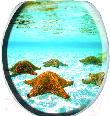 Сиденье для унитаза Europlast Океан. Морские звезды 103-311-01В14 (мягкое)