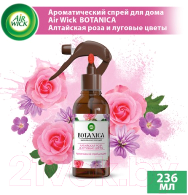 Спрей парфюмированный Air Wick Botanica алтайская роза и луговые цветы (236мл)
