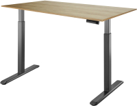 

Письменный стол Ergosmart, Electric Desk 1380x800x18