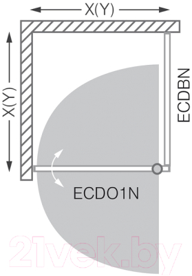 Душевой уголок Roltechnik Exclusive Line ECDO1N/100+ECDBN/100 (черный/прозрачное стекло)