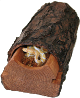 

Декорация для террариума Lucky Reptile, MultiBox / MB-83