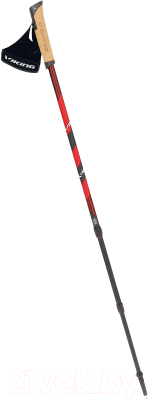 Палки для скандинавской ходьбы VikinG Kube Pro Nordic Walking / 650/22/1743-34 (красный)