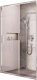Душевая дверь Ravak BLSDP2-100 (X0PMA0C00Z1) - 