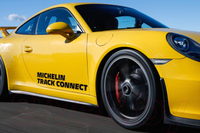 Летняя шина Michelin Pilot Sport Cup 2 315/30R21 105Y Porsche