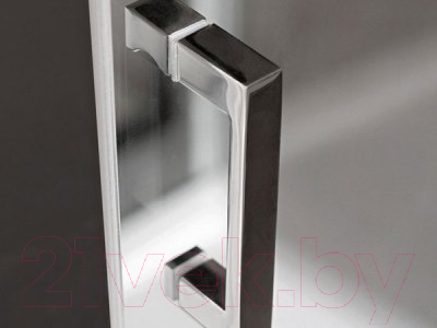 Душевая дверь Roltechnik Lega Line LLDO1/90 (хром/печатный узор)