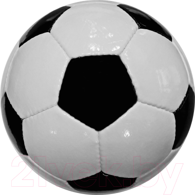 Футбольный мяч Vimpex Sport Classic 9028 (размер 5)