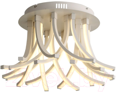 

Потолочный светильник ST Luce, Filiali SL827.502.20