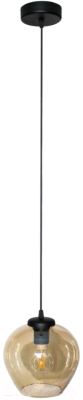 Потолочный светильник Элетех Мила 211 НСБ 01-60-134 Е27 / 1005404102 (черный)