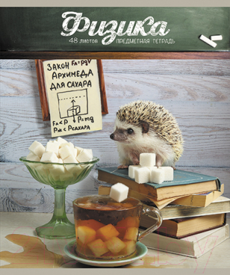 

Тетрадь предметная Magic Lines, Тайная жизнь ежей. Физика / 28931