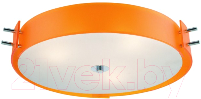 

Потолочный светильник ST Luce, Hegia SL484.092.06