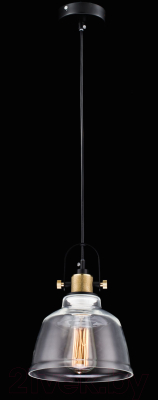 Потолочный светильник Maytoni Irving T163-11-W