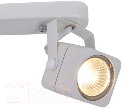 Спот Arte Lamp Lente A1314PL-2WH