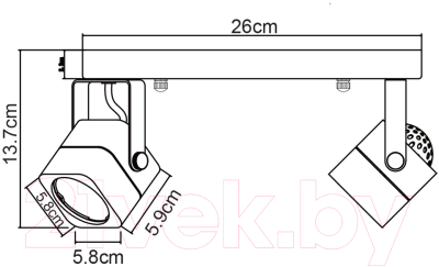 Спот Arte Lamp Lente A1314PL-2WH